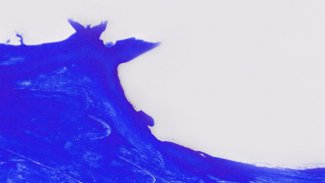 Still Blue Olivia Belli